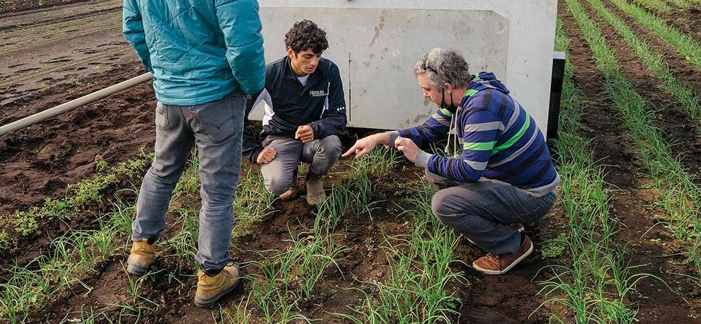 farmers looking at plants