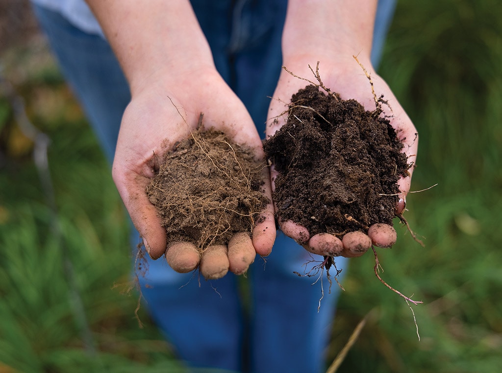 different soils in two hands