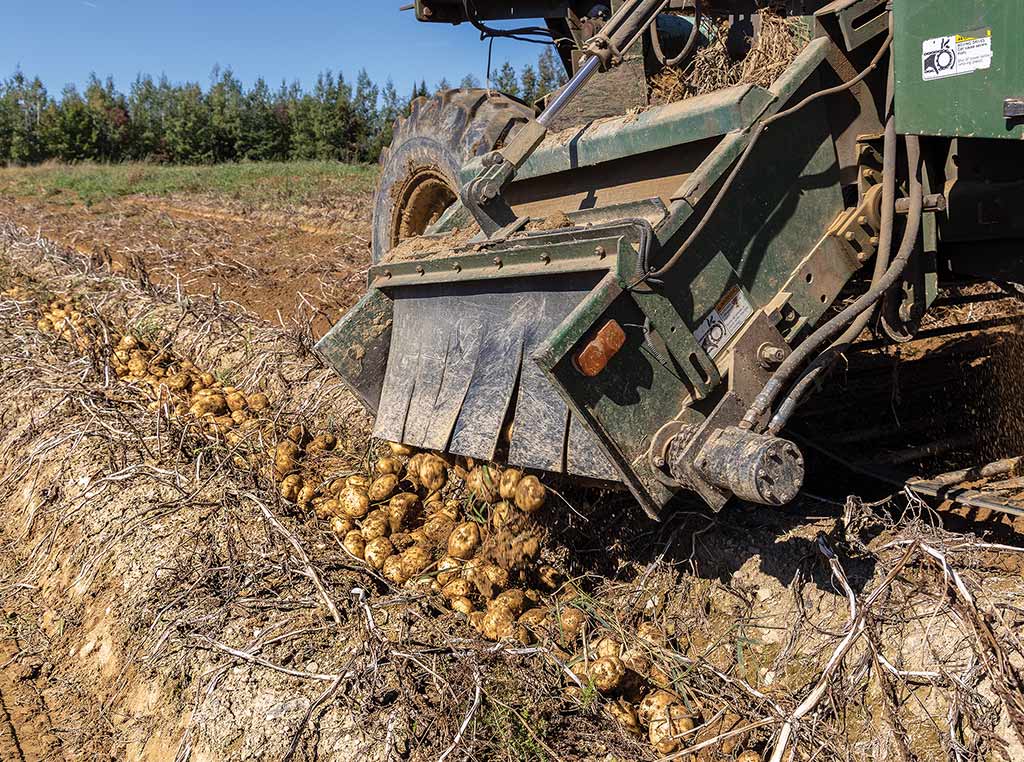 potato harvester