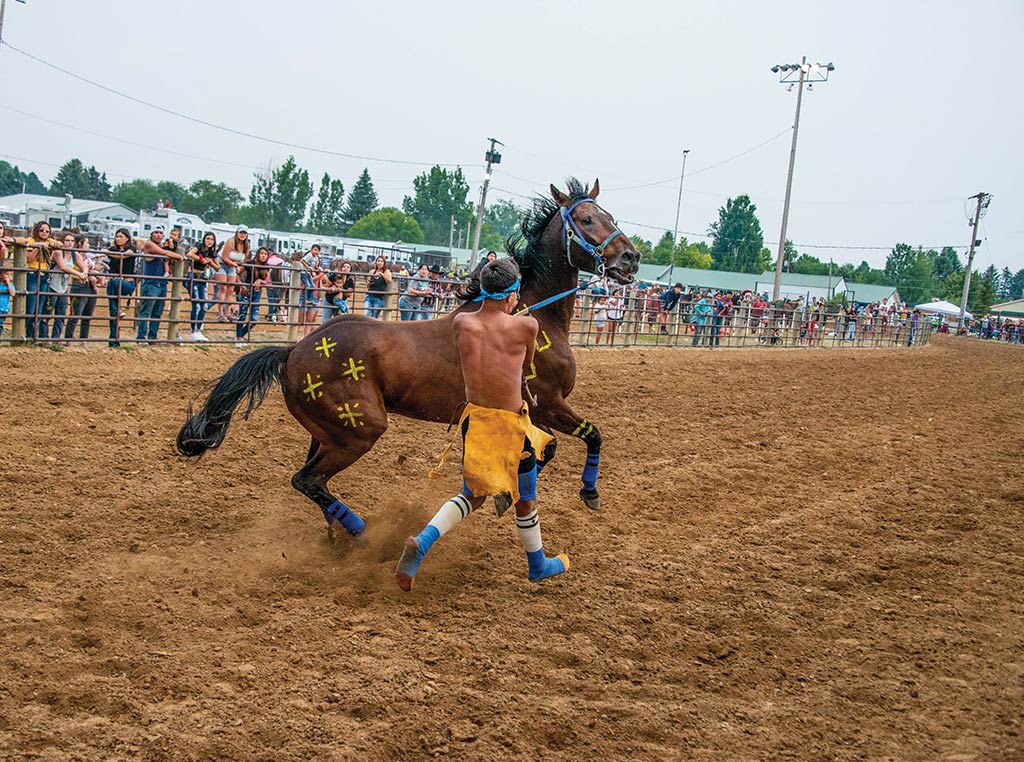 horseback rider pulling on horse reigns