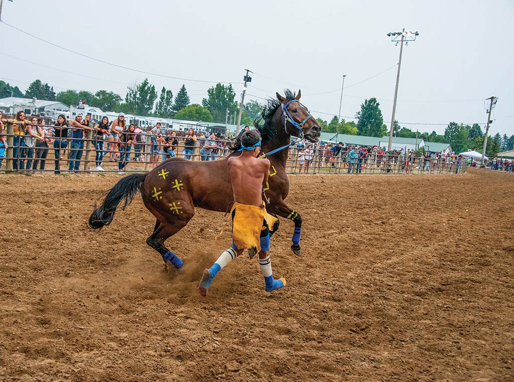 horse rider pulling on reigns