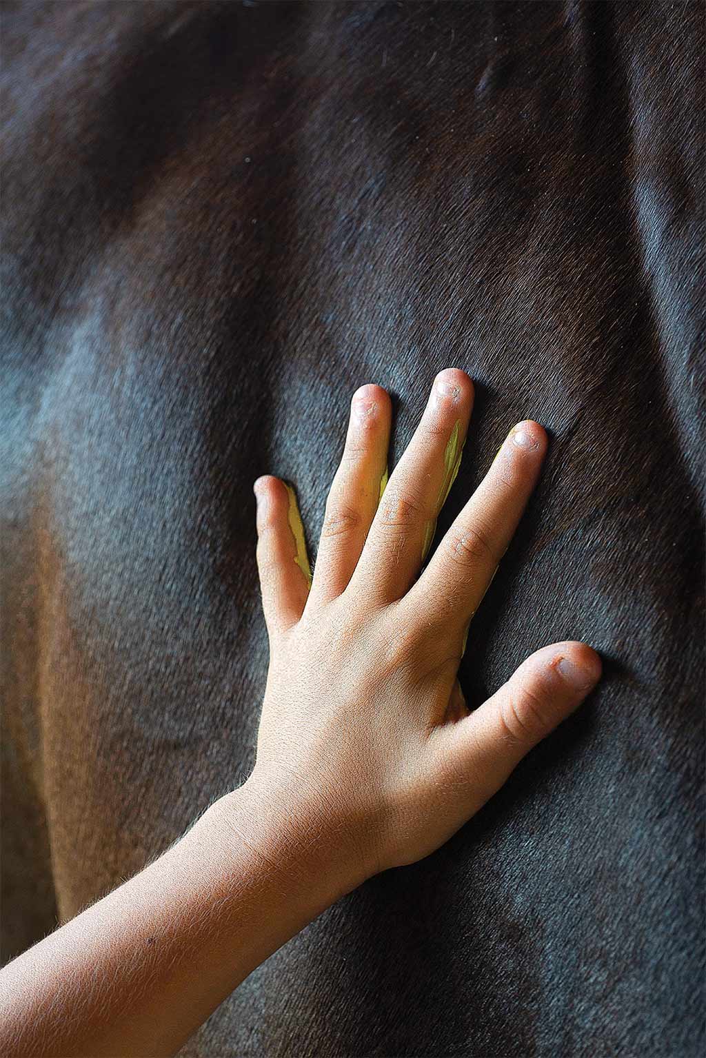 Child petting a horse