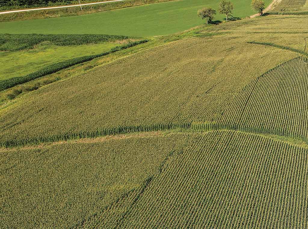 aerial image of field with row crops