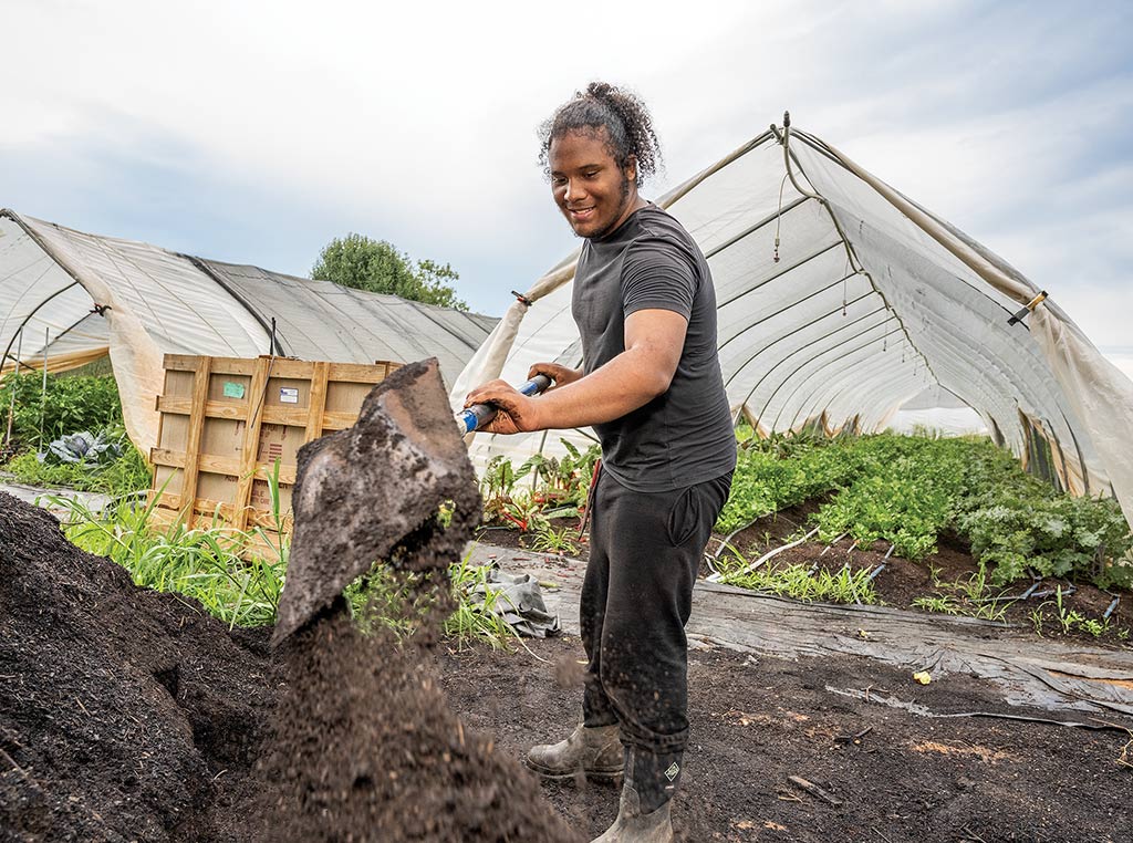 person shoveling dirt onto a pile