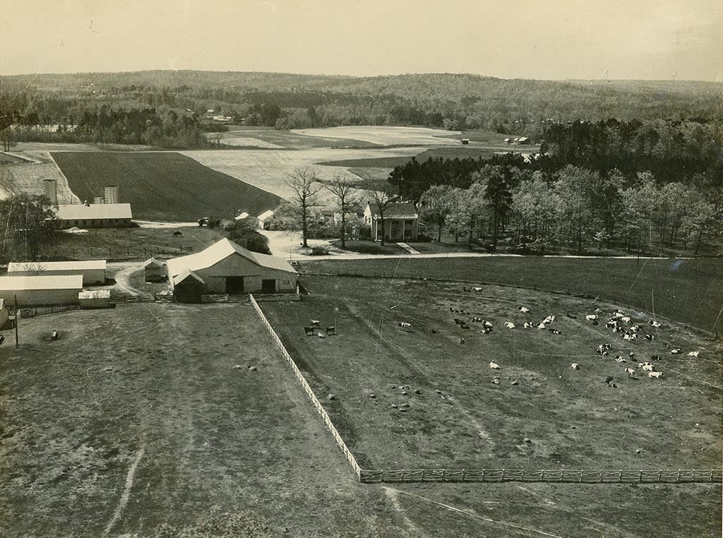 vintage photo of the farm