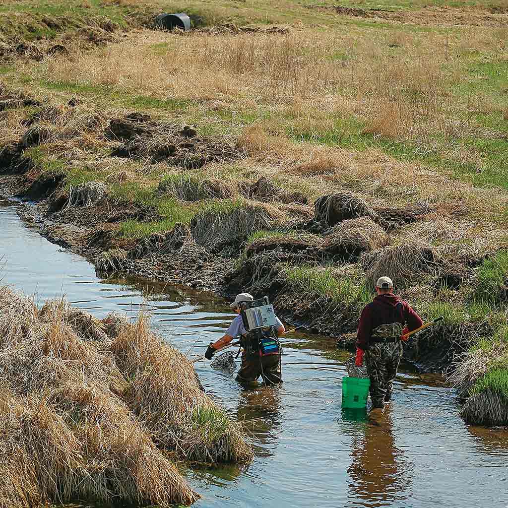 two people gathering stream samples