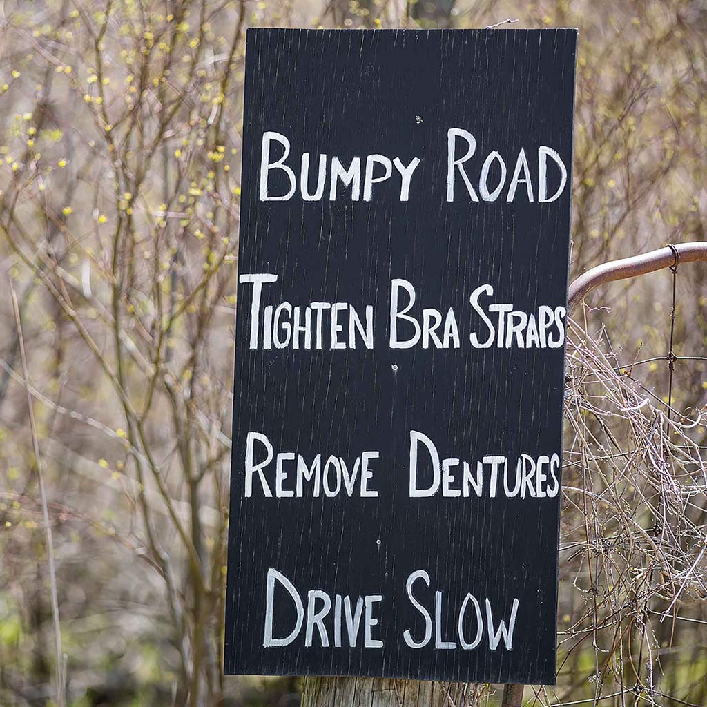 bumpy road sign on tree