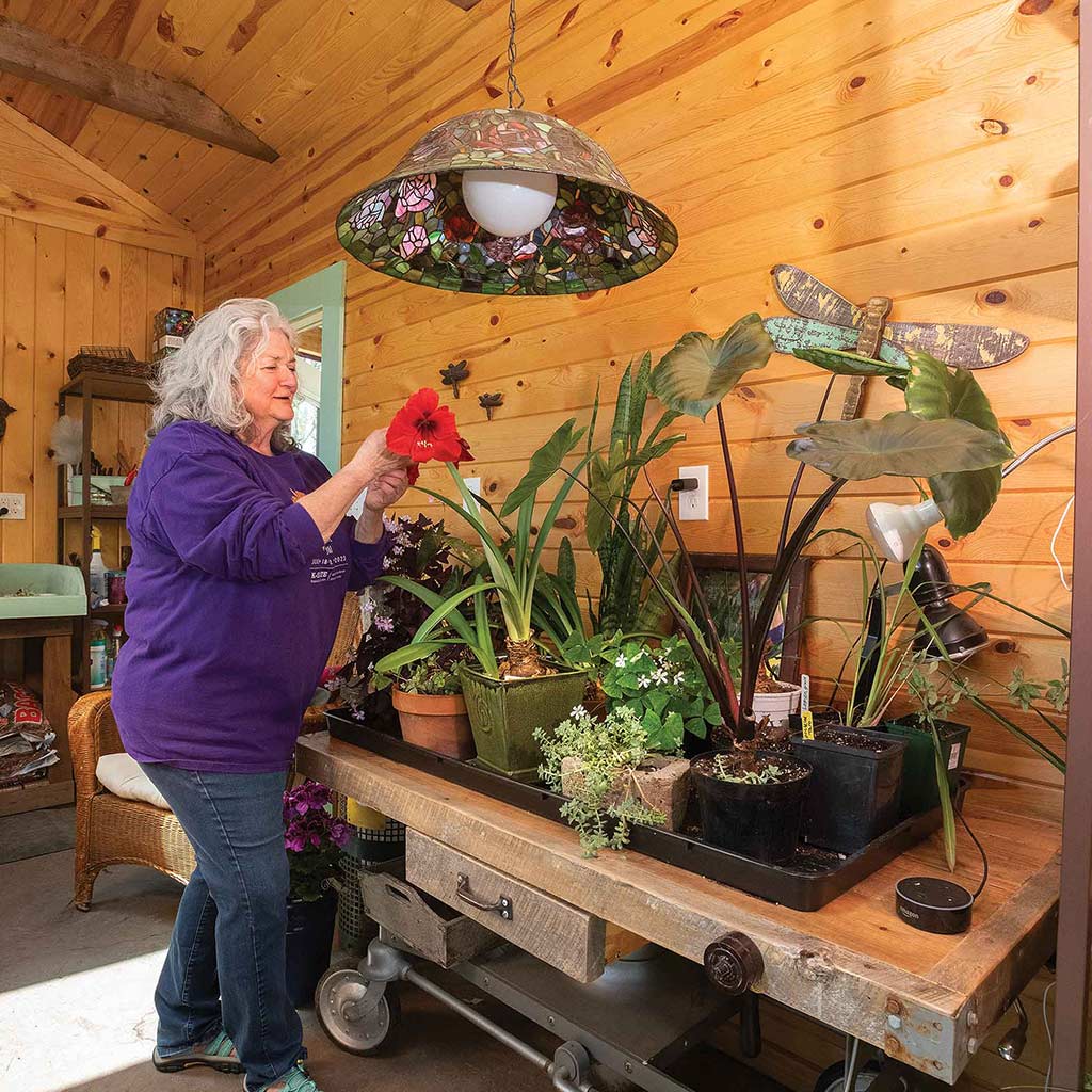 woman tending to flowers in her shed