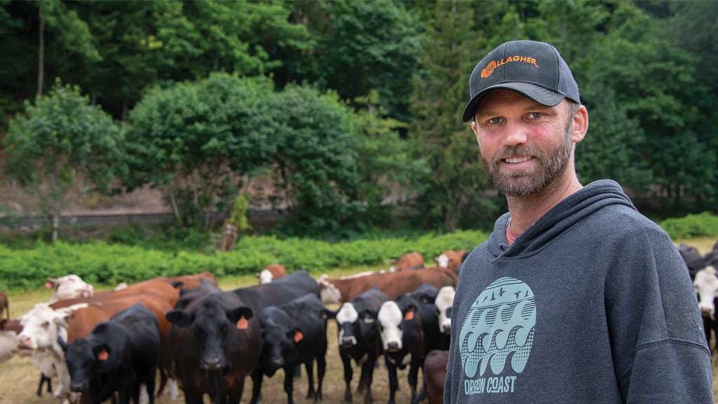 cattle farmer with cows