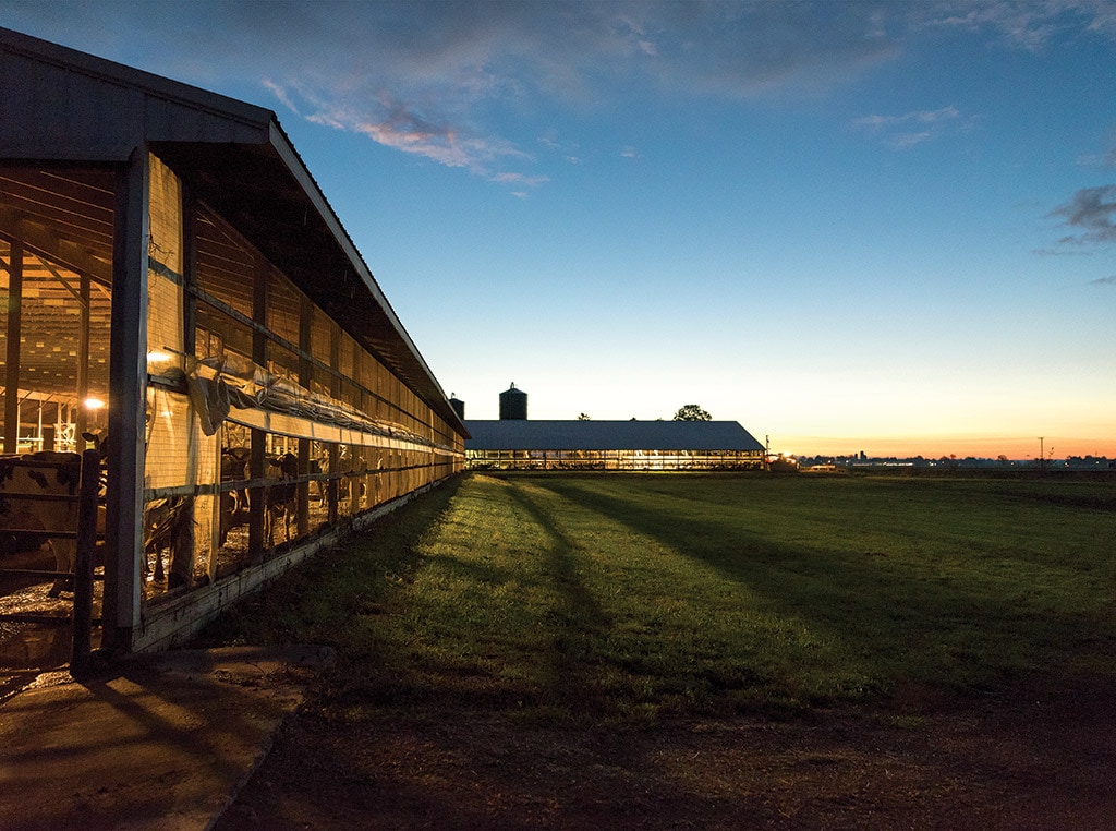 Harvest starts in a cloud of dust - Farm and Dairy