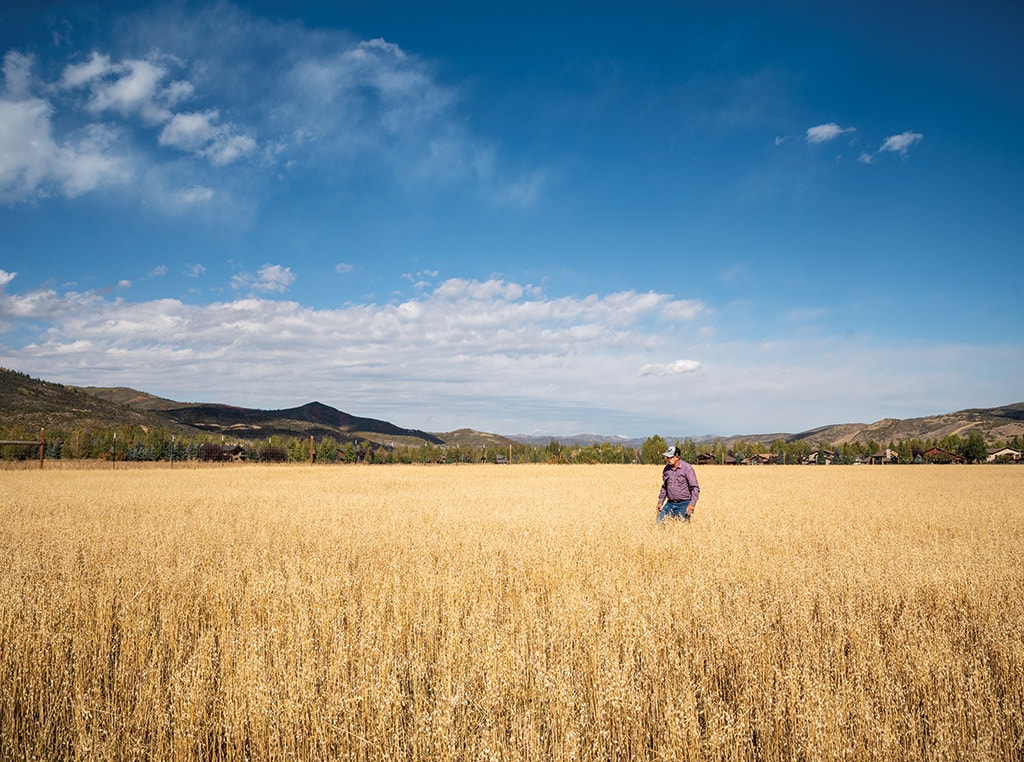 man in field showing big sky