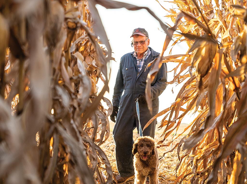 man with dog between rows of corn
