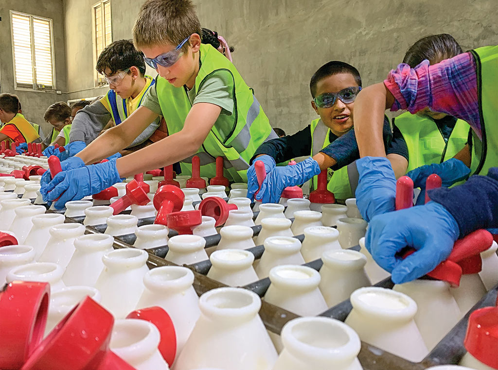 students putting nipples on calf bottles