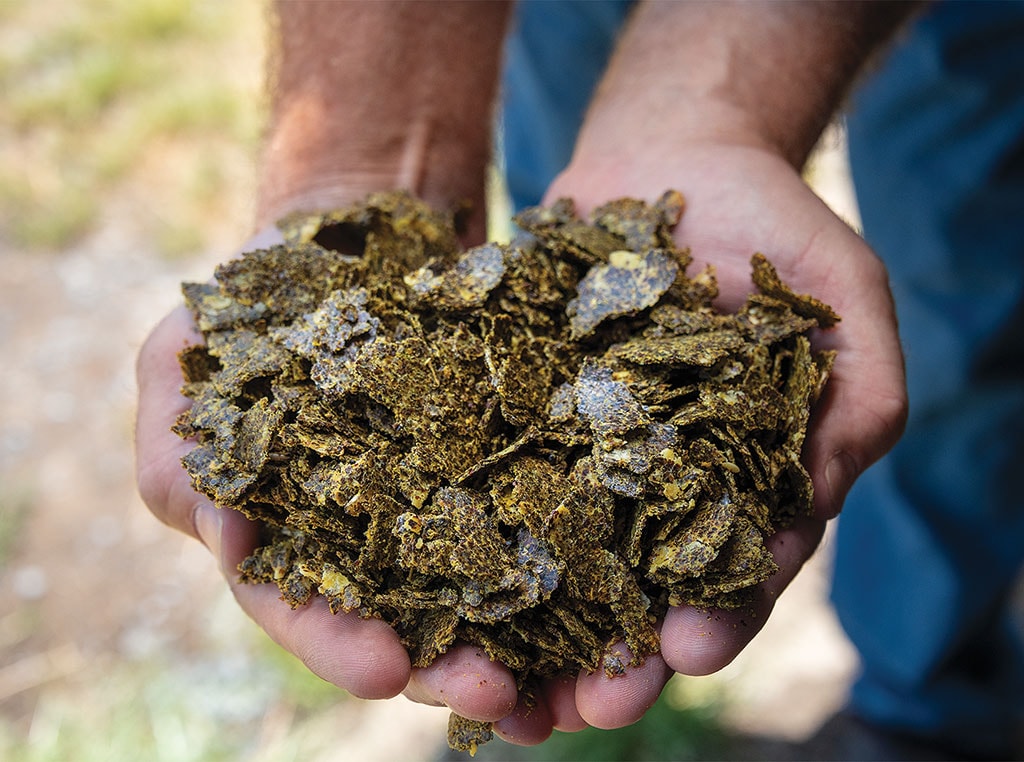 hands holding hemp