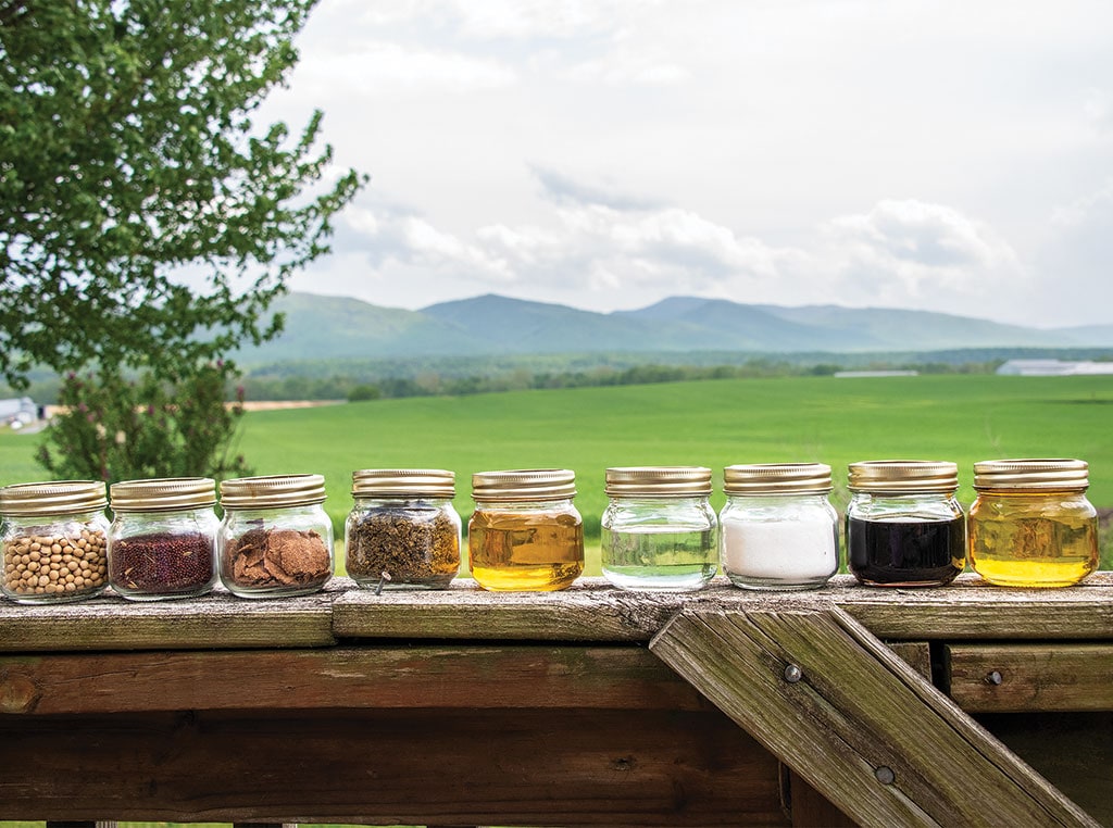 jars on a fence