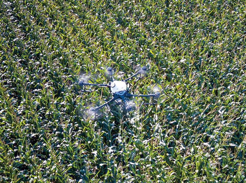 drone above plants in field