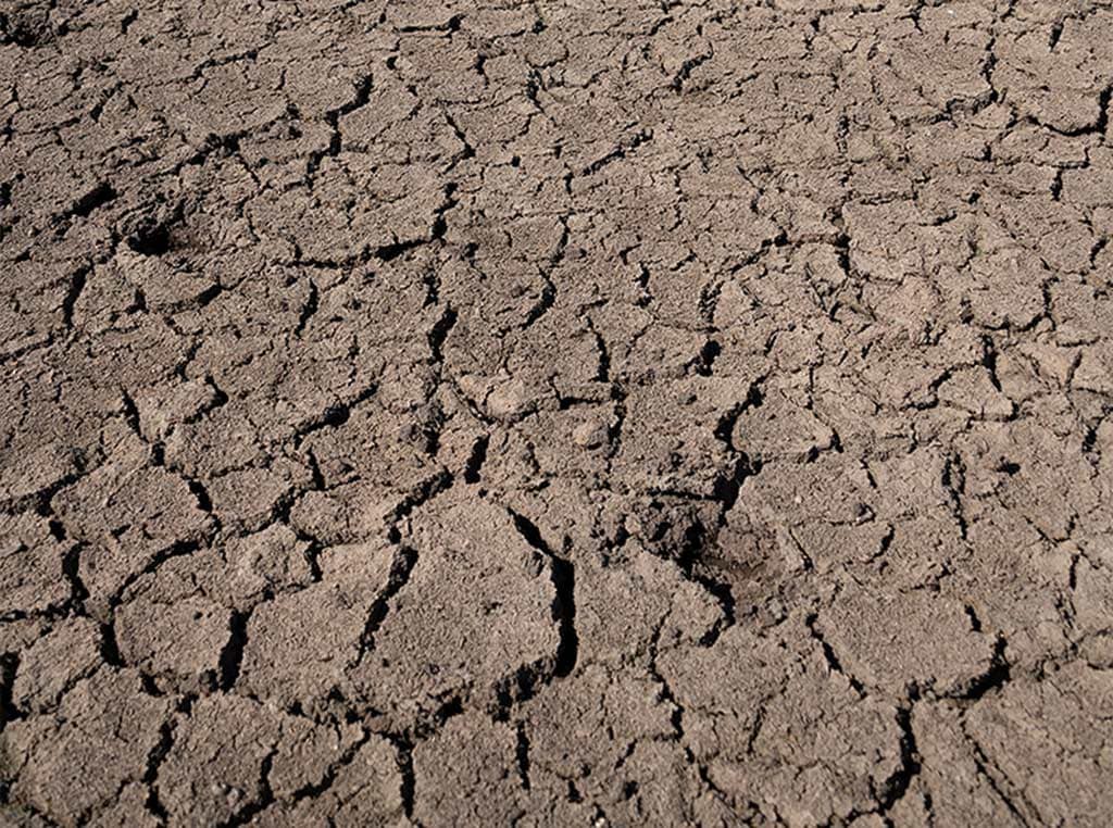 dry, cracked soil
