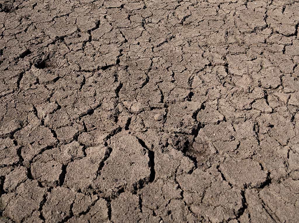 dry, cracked soil