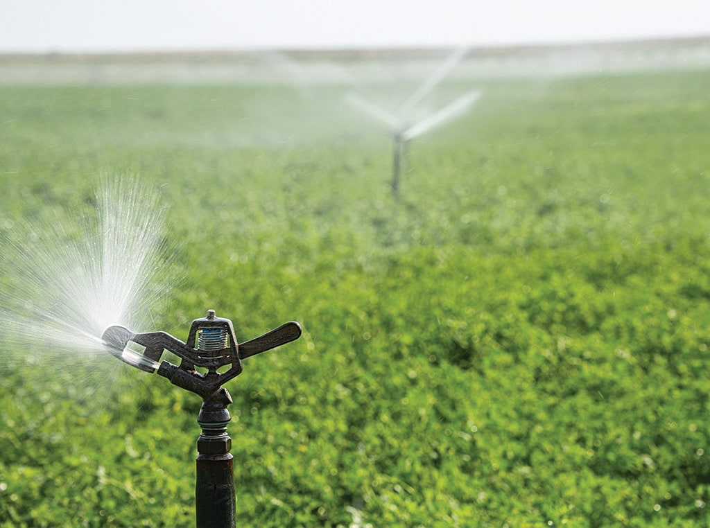 sprinklers in a field