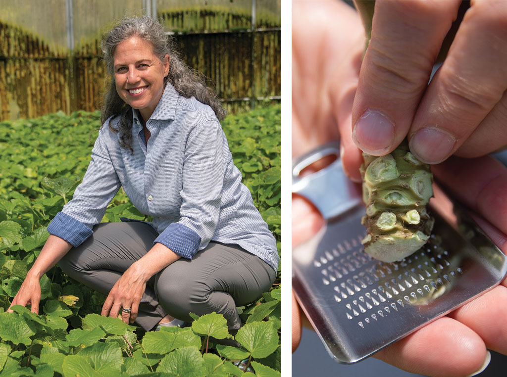 Jennifer Bloese and a close up of wasabi grinding