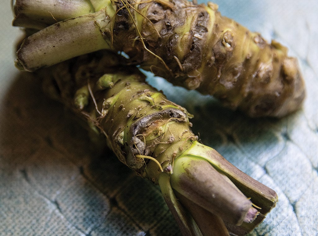 wasabi rhizomes market size