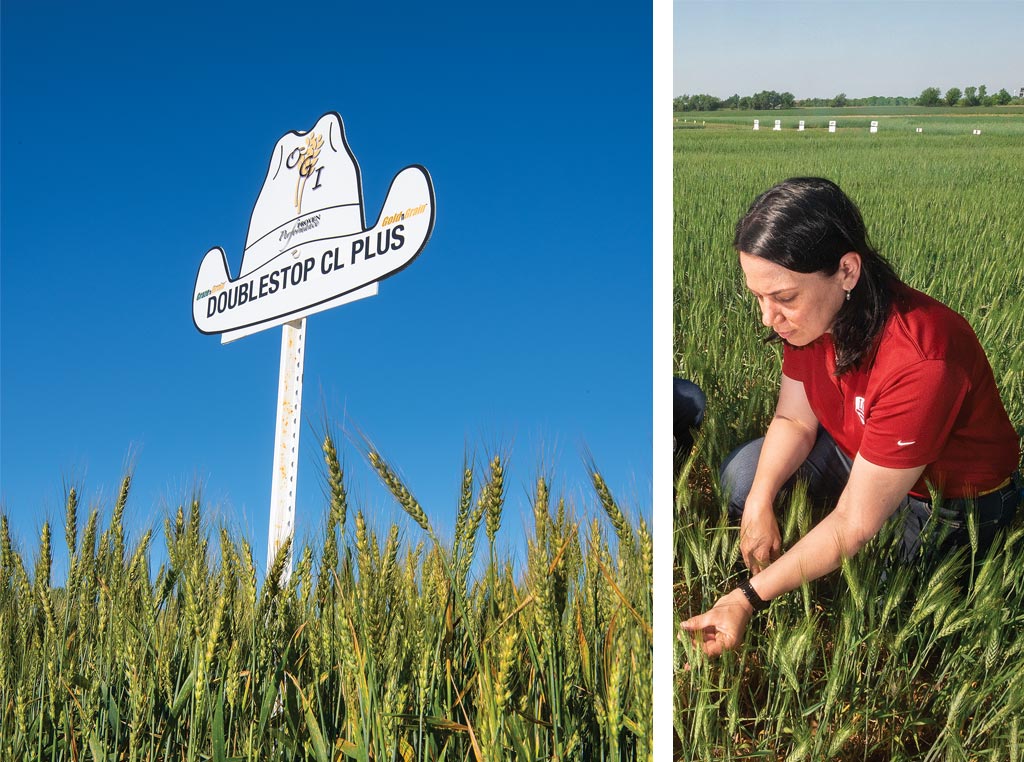 Photo of Marla Barnett in a field