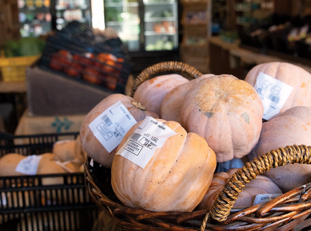 winter squash