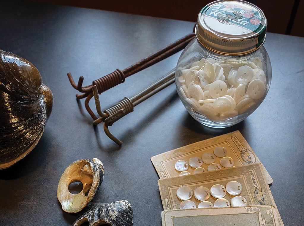 shells and buttons on table