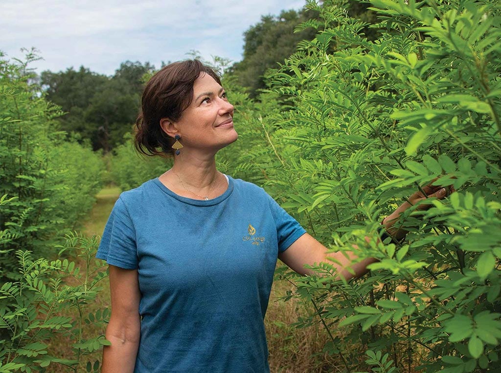 woman with trimming shears looking up at indigo plant