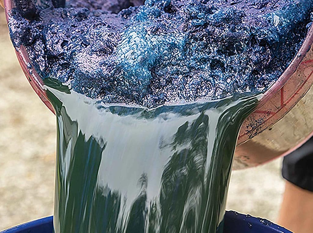 pouring indigo dye from one bucket to another