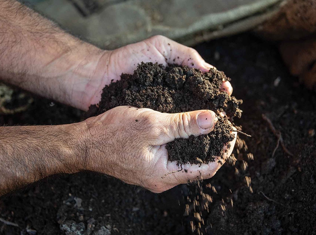 compost in hands