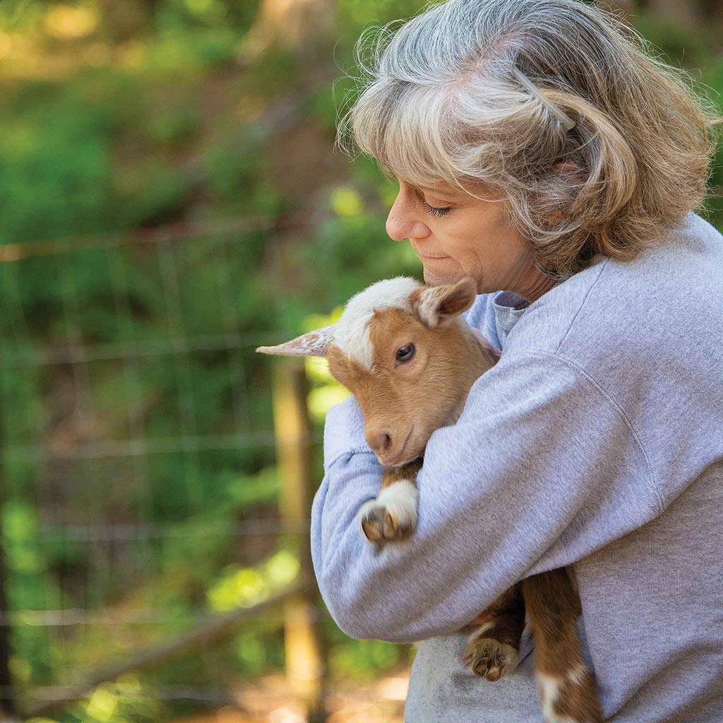 Daughter farmer Kuljus walking with goat kid