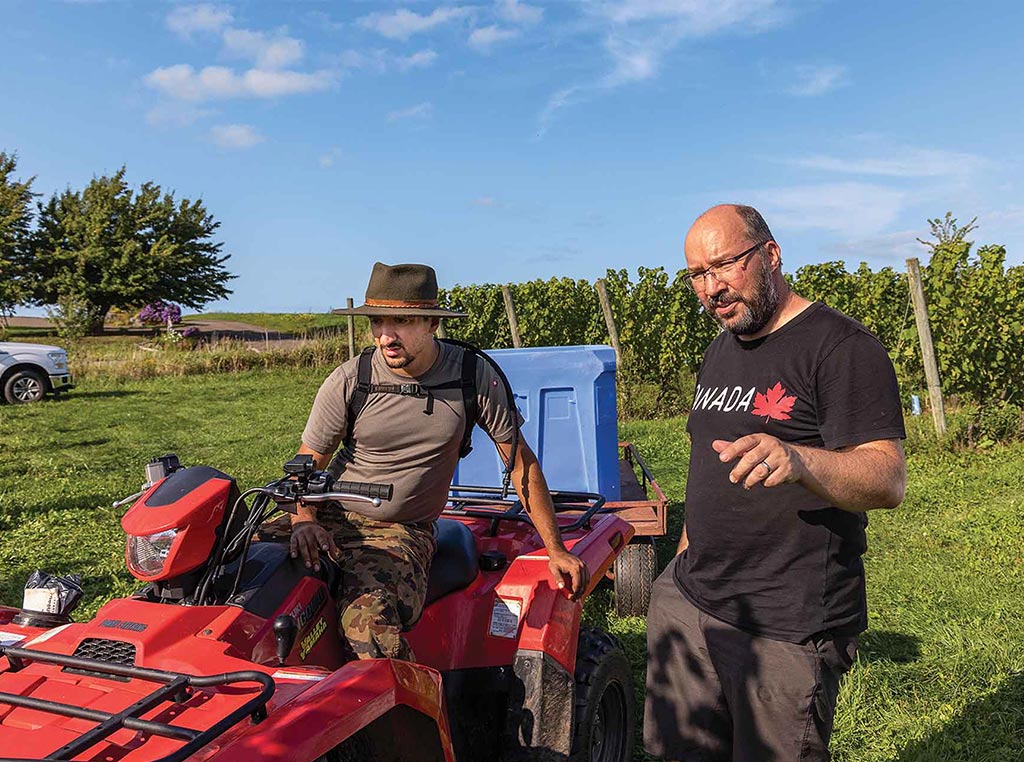 vineyard managers