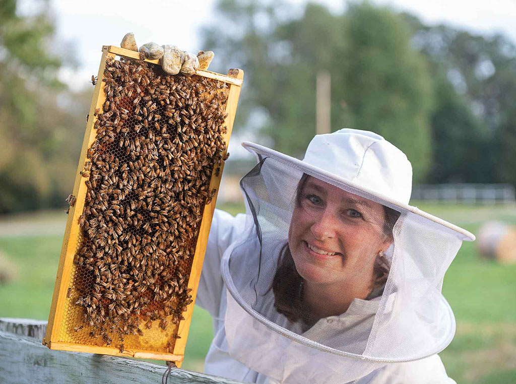 beekeeper holding up honeycomb