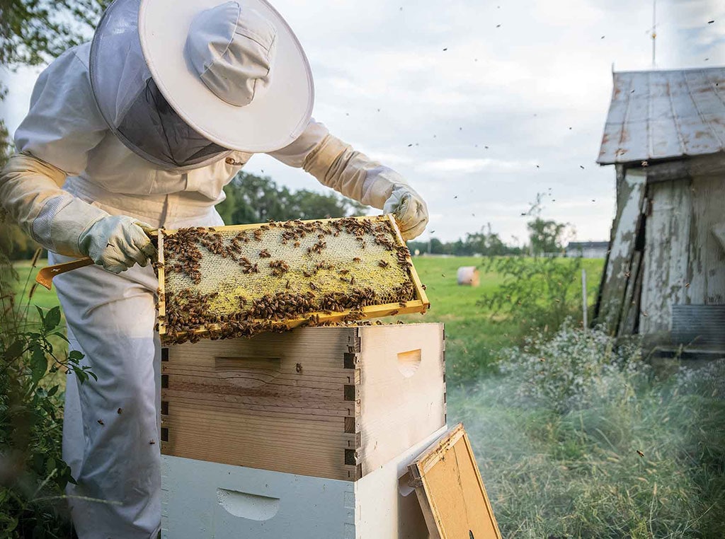 How These Beekeepers Stay True to Themselves, Even in Their Suits