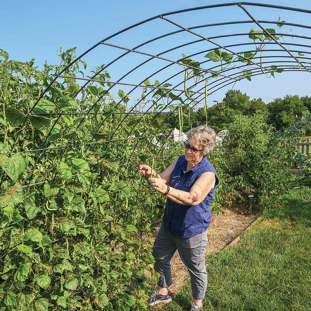 farmer using vertical farming techniques