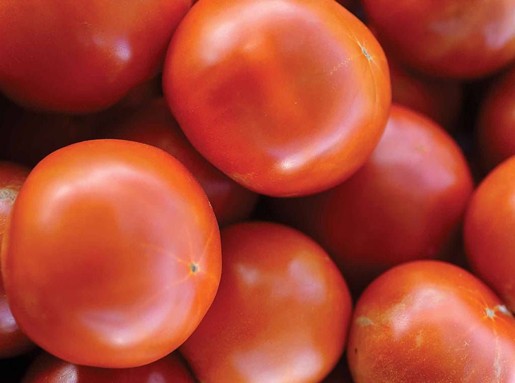 ripe tomatoes