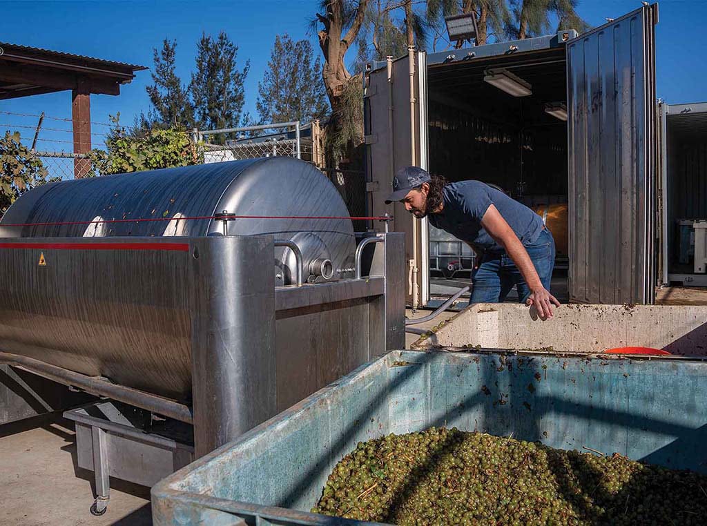 Di Cesare inspecting the grape press