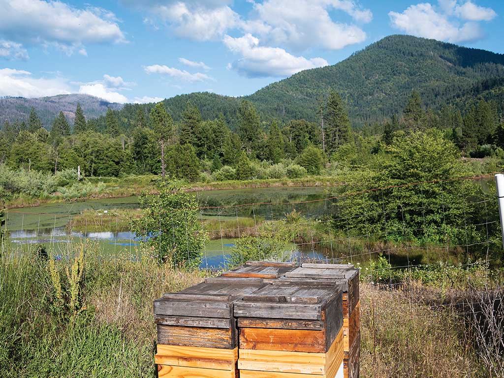wooden beehive containers with pond and mountains in the background