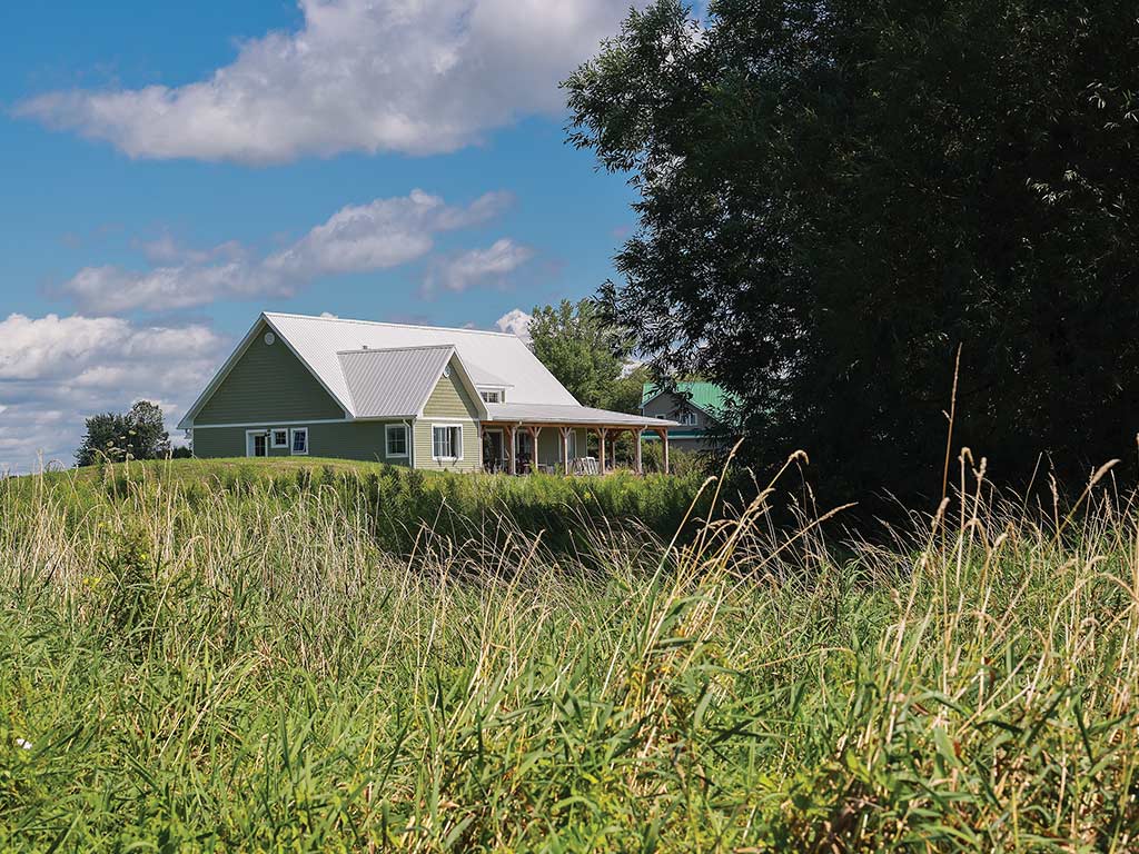  the new house surrounded by long grasses and trees