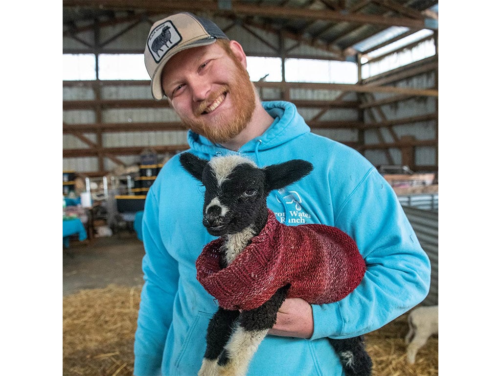Person wearing baseball cap and sky blue sweatshirt cradling a black and white lamb with a red sweater 