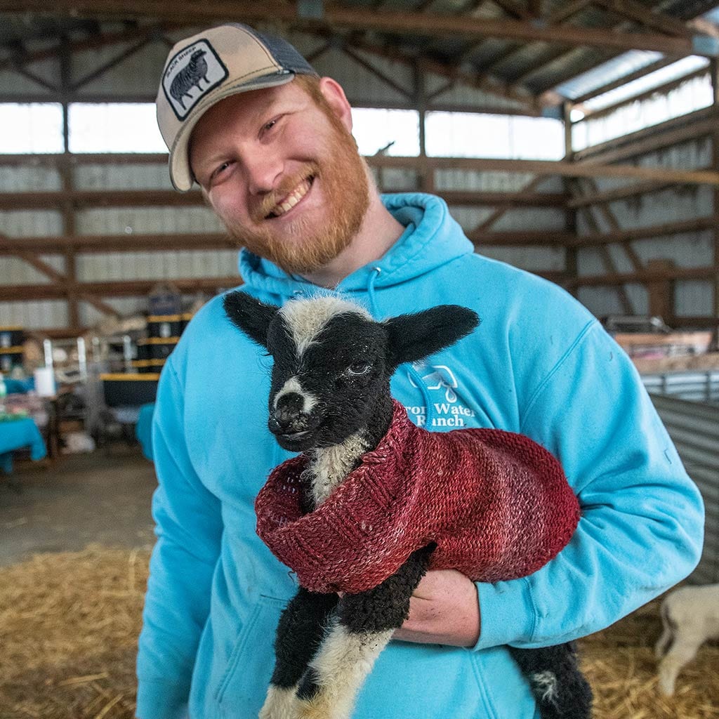 Person wearing baseball cap and sky blue hooded sweatshirt cradling a black and white lamb with a red sweater