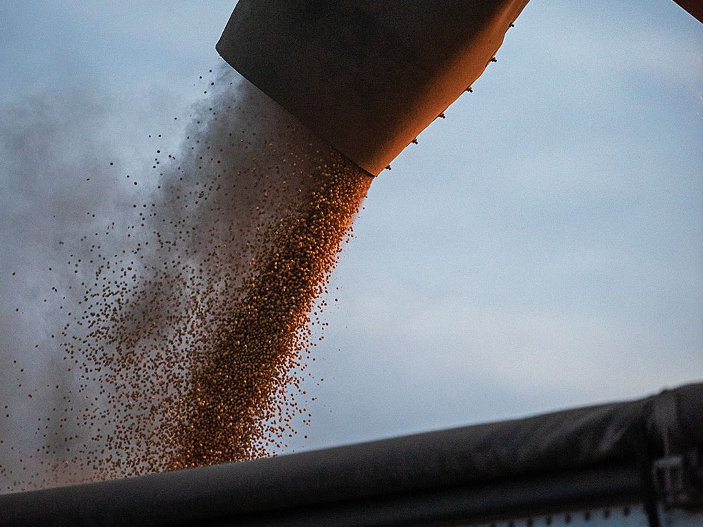 Soybean dumping into truck