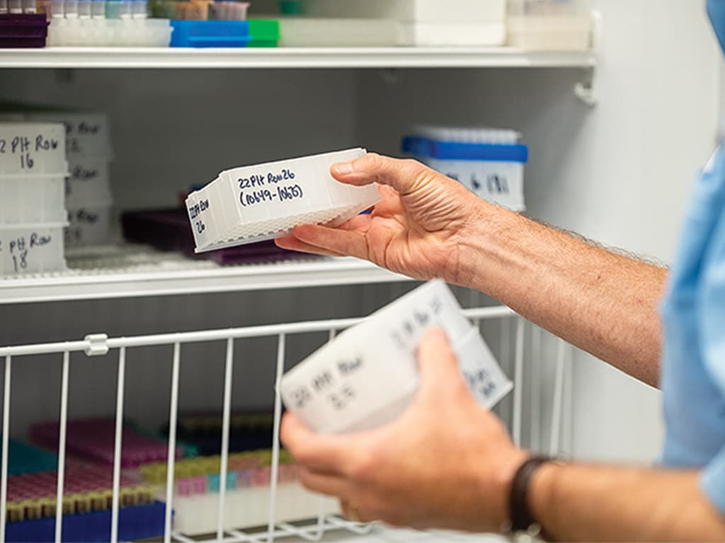 person handling small white boxes