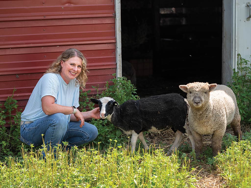 a blonde woman squatting down with two sheep