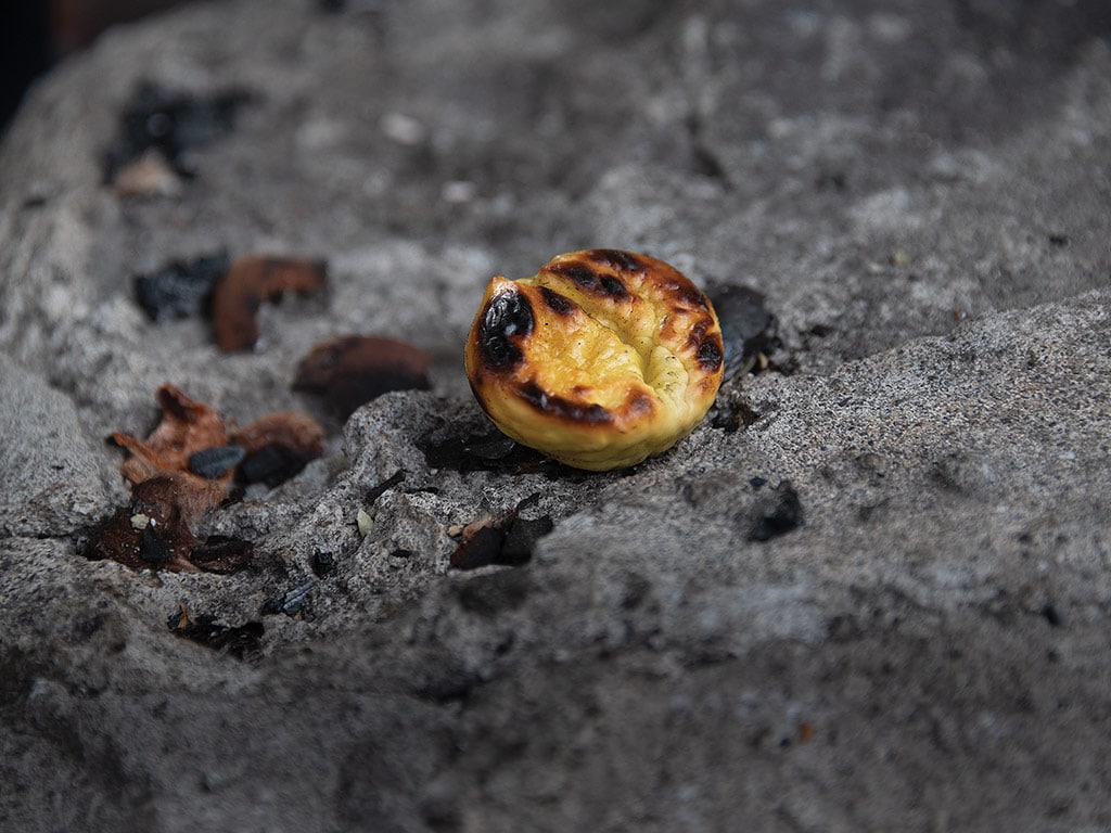  closeup of a shelled roasted chestnut