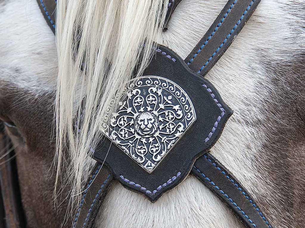 close up of a white horse's head wearing ornate leather and metal lead