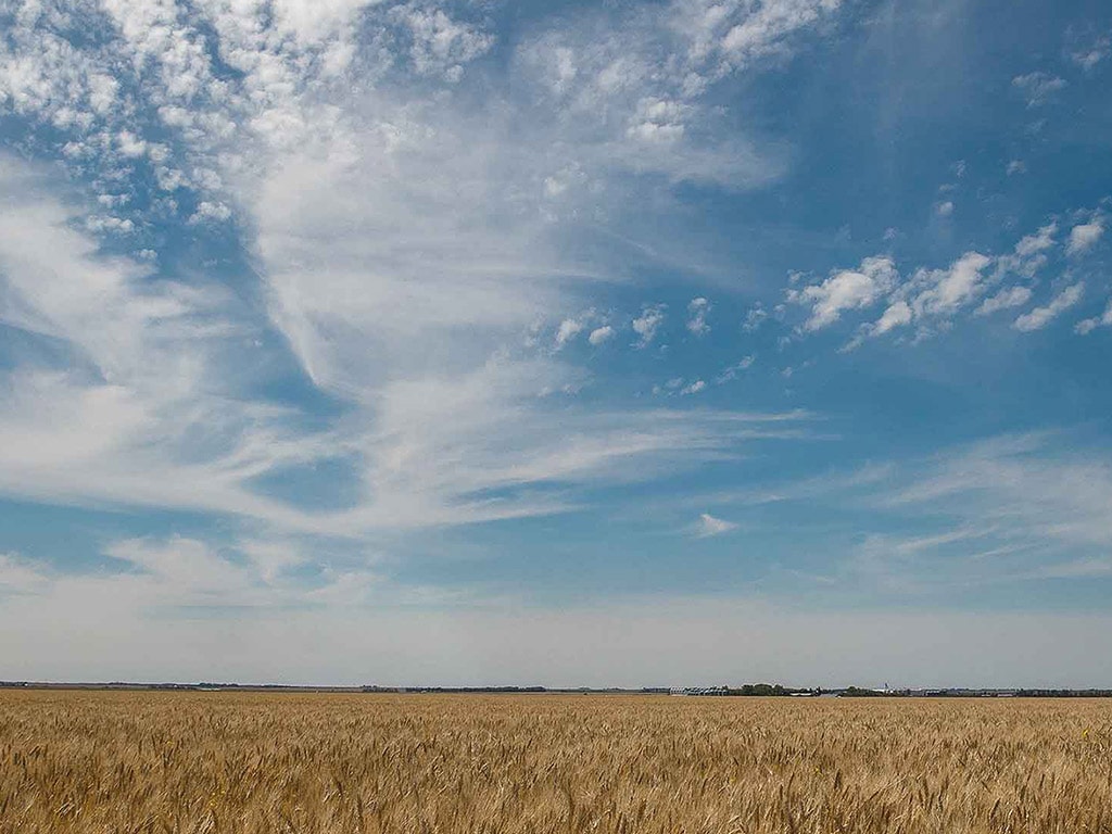 spotty clouds in the sky over a sprawling golden wheat field