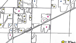 hand drawn field map with locations of crop types