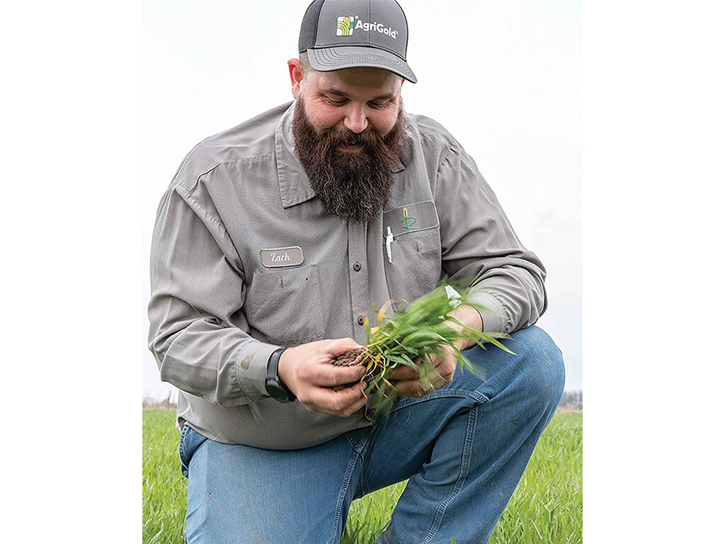 Farmer Zack Rendel in a grey button up shirt and grey hat, kneeling inspecting crops
